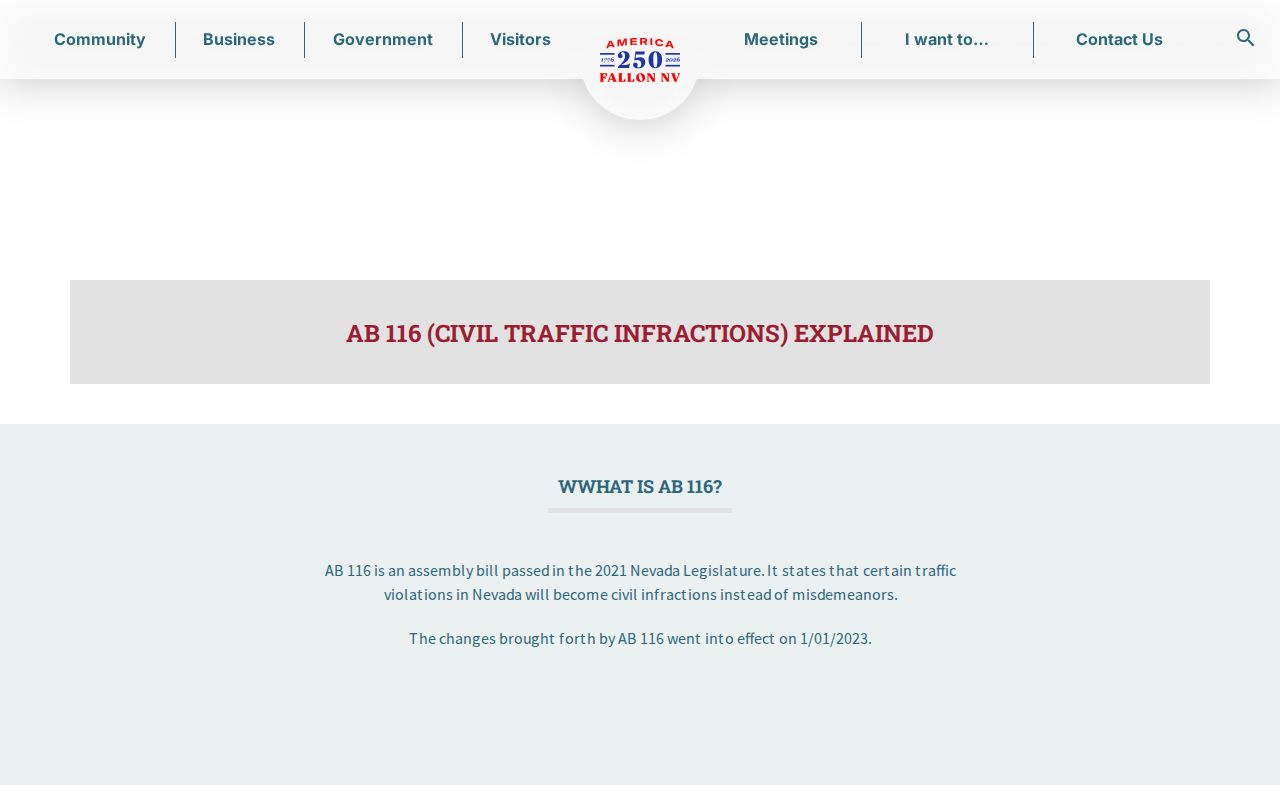 Official Fallon Municipal Court civil traffic response procedure